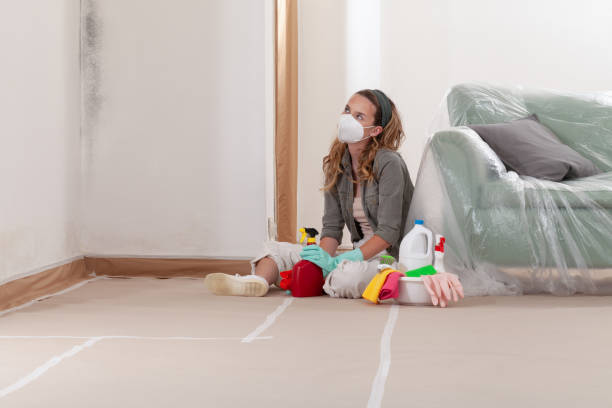 Reliable Mold Remediation contractor in Garner, NC by Mold Remediation HQ